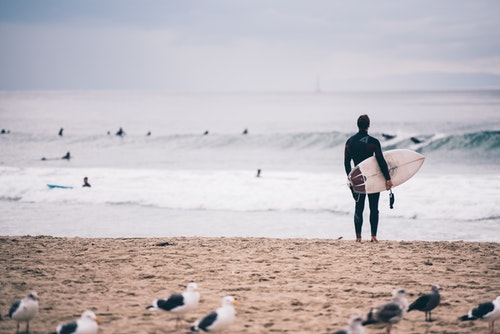 surf